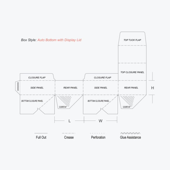 Dieline template of an auto bottom box with display lid, featuring labeled panels, folding lines, and perforations.