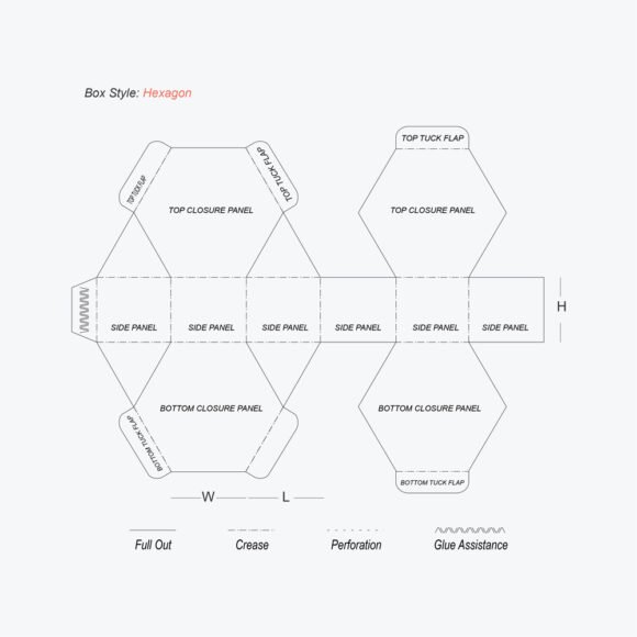 Die-cut template of a hexagon box with detailed folding lines, creases, and glue areas for easy assembly.